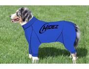 AUSTRALIAN SHEPHERD COMPRESSION SUIT