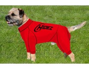 BORDER TERRIER COMPRESSION SUIT
