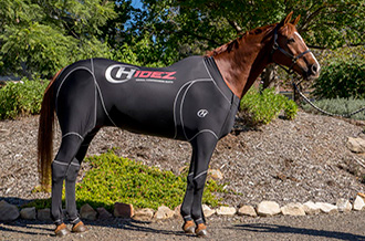 EQUINE TRAVEL & RECOVERY SUIT