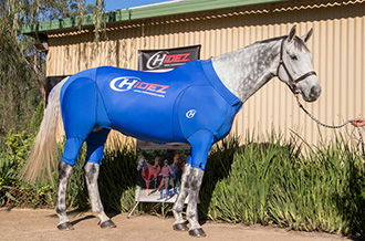 EQUINE ACTIVE SUIT