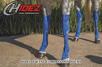 EQUINE COMPRESSION SOCK