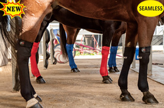 EQUINE SEAMLESS COMPRESSION SOCK