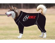 ALASKAN MALMUTE COMPRESSION SUIT