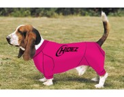 BASSET HOUND COMPRESSION SUIT