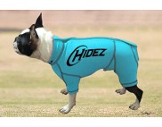 BOSTON TERRIER COMPRESSION SUIT