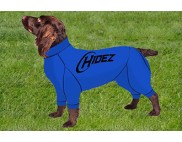 BOYKIN SPANIEL COMPRESSION SUIT