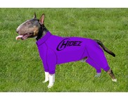 BULL TERRIER COMPRESSION SUIT