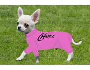 CHIHUAHUA COMPRESSION SUIT