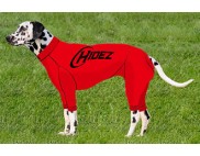 DALMATIAN COMPRESSION SUIT