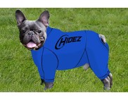 FRENCH BULLDOG COMPRESSION SUIT