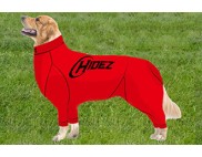 GOLDEN RETRIEVER COMPRESSION SUIT