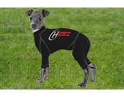 ITANIAN GREYHOUND COMPRESSION SUIT