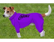 JACK RUSSELL TERRIER COMPRESSION SUIT