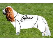 KING CHARLES SPANIEL COMPRESSION SUIT