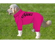 LABRADOOLE COMPRESSION SUIT