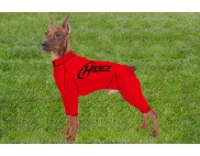 MINIATURE PINSCHER COMPRESSION SUIT