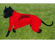 PITBULL COMPRESSION SUIT