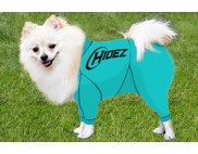 POMERANIAN COMPRESSION SUIT