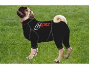 PUG COMPRESSION SUIT