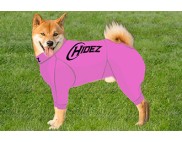 SHIBA INU COMPRESSION SUIT