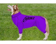 SIBERIAN HUSKY COMPRESSION SUIT