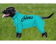 STAFFORDSHIRE BULL TERRIER COMPRESSION SUIT