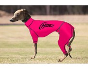WHIPPET COMPRESSION SUIT
