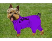 YORKSHIRE TERRIER COMPRESSION SUIT